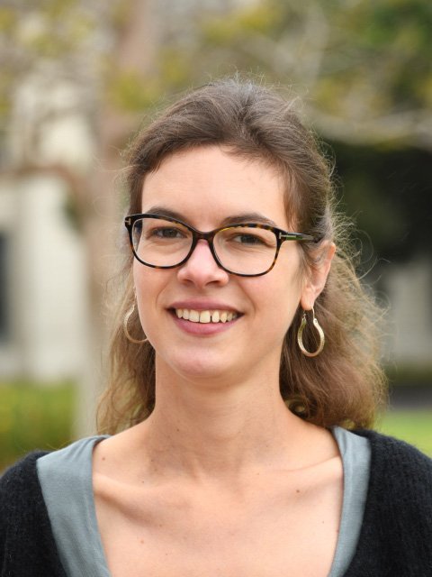 Raphaële Clément ist Direktorin am Max-Planck-Institut für Festkörperforschung, Stuttgart. Sie war zuvor tätig an der University of California, Santa Barbara.