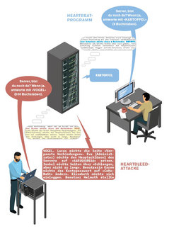 Grafische Darstellung des Heartbeat-Programms und des Heartbleed-Angriffs: In der rechten Bildhälfte sitzt ein Mann an einem Schreibtisch mit Computer, dermit einem Server rechts von der Bildmitte verbunden ist. Links unterhalb des Servers steht eine Person an einem Pult mit einem Notebook. In einem Fach des pults ist ein elektronischen Gerät, möglicherweise ebenfalls ein Server, zu erkennen.