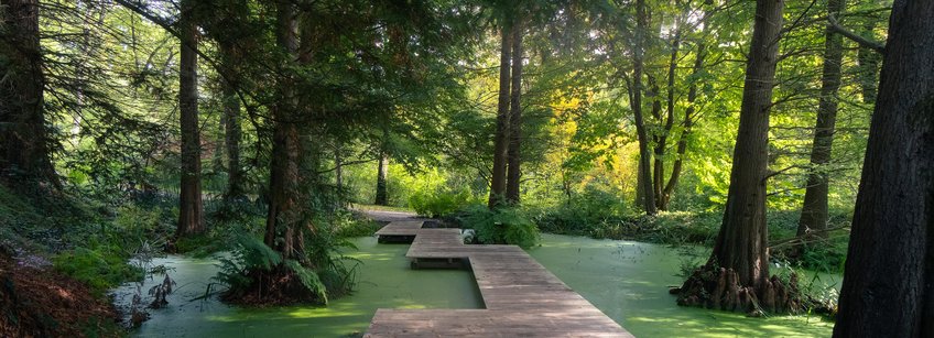 Botanical Garden at Ruhr-Universität Bochum