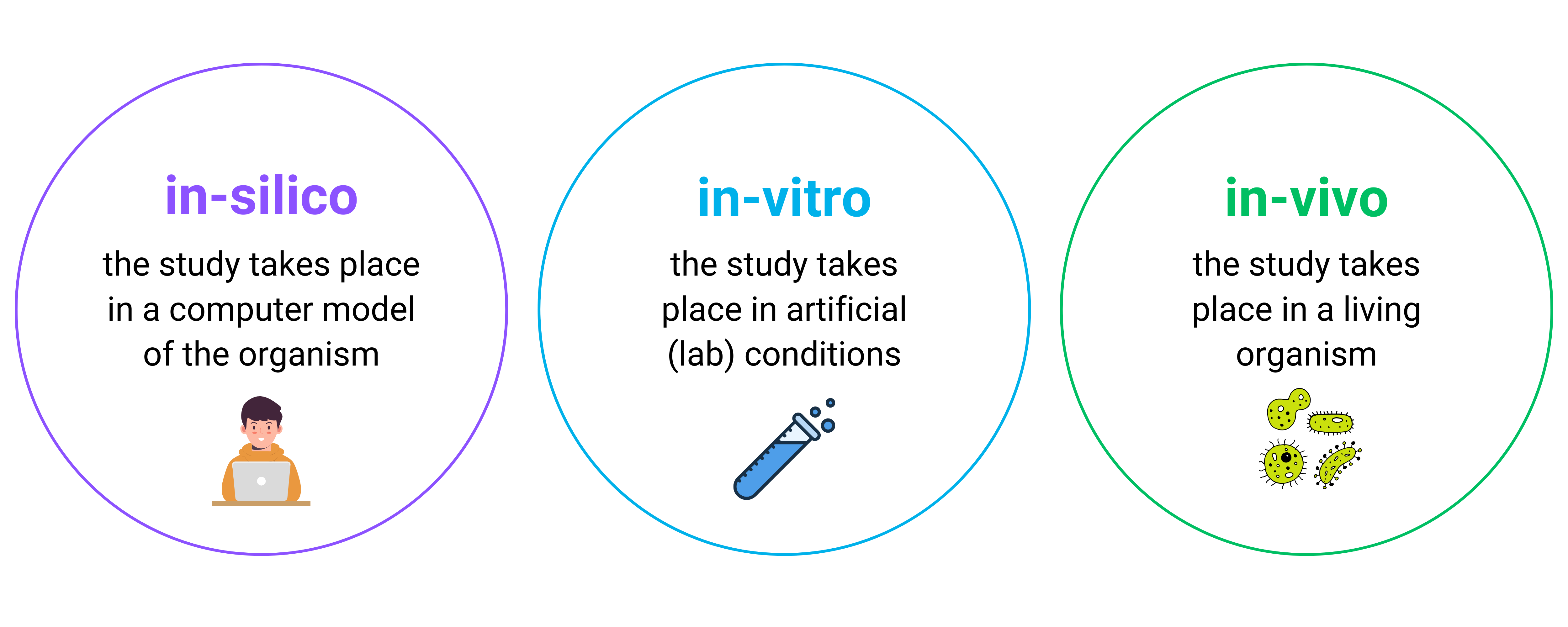 Biologists can study a living organism in three different ways: “in-silico”, “in-vitro”, and “in-vivo” Chart showing the three different ways of studying living organisms