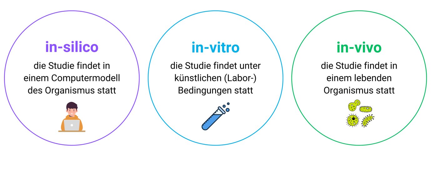 Biolog*innen können einen lebenden Organismus auf drei verschiedene Arten untersuchen: „in-silico“, „in-vitro“ und „in-vivo“.