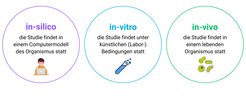Biolog*innen können einen lebenden Organismus auf drei verschiedene Arten untersuchen: „in-silico“, „in-vitro“ und „in-vivo“.