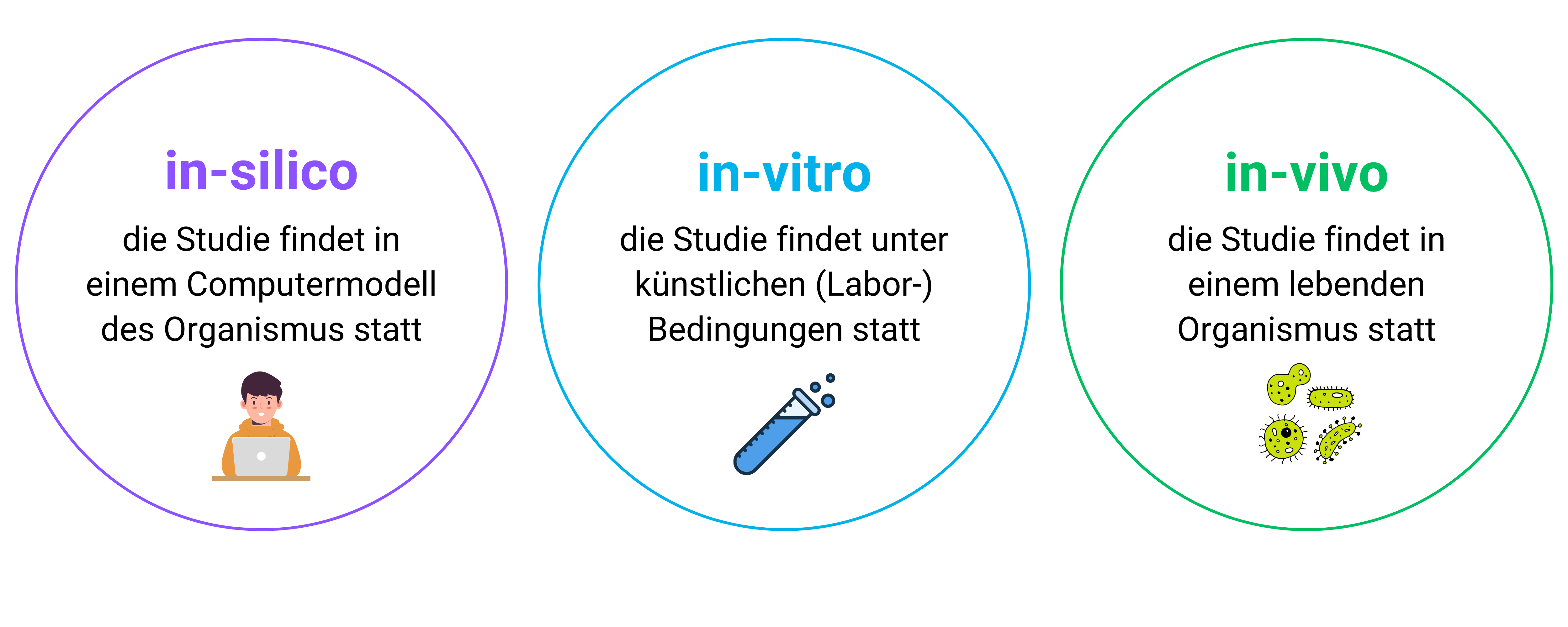 Biolog*innen können einen lebenden Organismus auf drei verschiedene Arten untersuchen: „in-silico“, „in-vitro“ und „in-vivo“.  Biolog*innen können einen lebenden Organismus auf drei verschiedene Arten untersuchen: „in-silico“, „in-vitro“ und „in-vivo“.